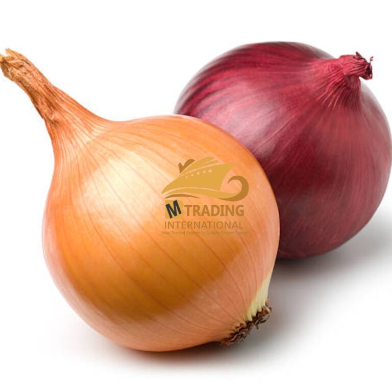 🧅 Premium Pakistani Onions – Fresh, Flavorful & Export-Ready