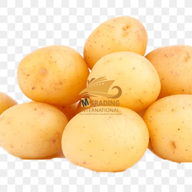 🥔 Premium Pakistani Potatoes – Fresh, Export-Grade & Farm Direct